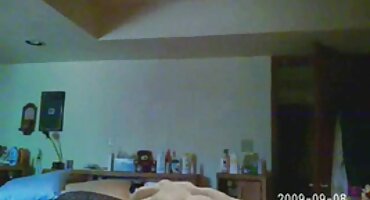 মেগান হলি