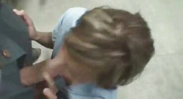 সেস্ক বিডিও