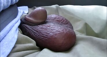 নিগ্রো সেক্স ভিডিও কম বিয়ার এবং তার বিশাল লিঙ্গ দিয়ে স্বর্ণকেশী চিকিত্সা