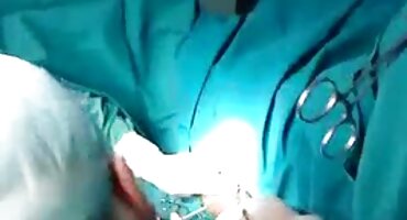 নিকোল রে