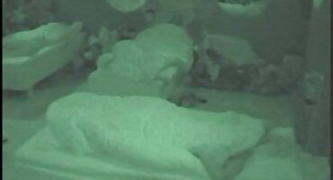 হার্লে কুইন বিচ্ছেদ এবং জোকারের ডটকম সেক্স ভিডিও পরে মোটা হয়েছিলেন এবং নের্ডদের প্রেমে পড়েছিলেন।