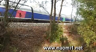 মোনিকা সেজ