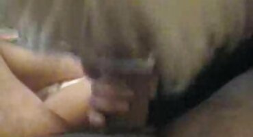 চেক অশ্লীল রচনা