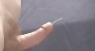 হেলেনা প্রাইস