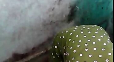 সেক্সি ডাইরেকচুদাচুদি সেক্স ভিডিও অন্তর্বাস পরিহিত একটি চিক তার গভীর গলার দক্ষতা দেখায়